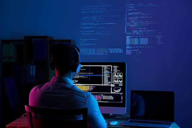 What does a software engineer do